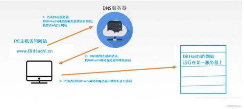 计算机网络中的关键服务 DNS域名解析系统