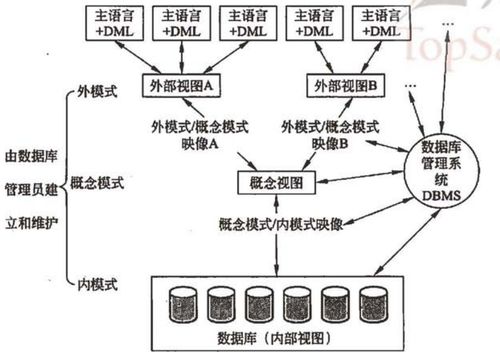 软考系统架构设计师教程第二章 计算机网络基础知识与计算机系统服务学习笔记